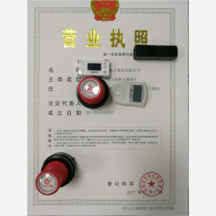 深圳市電子商務有限公司